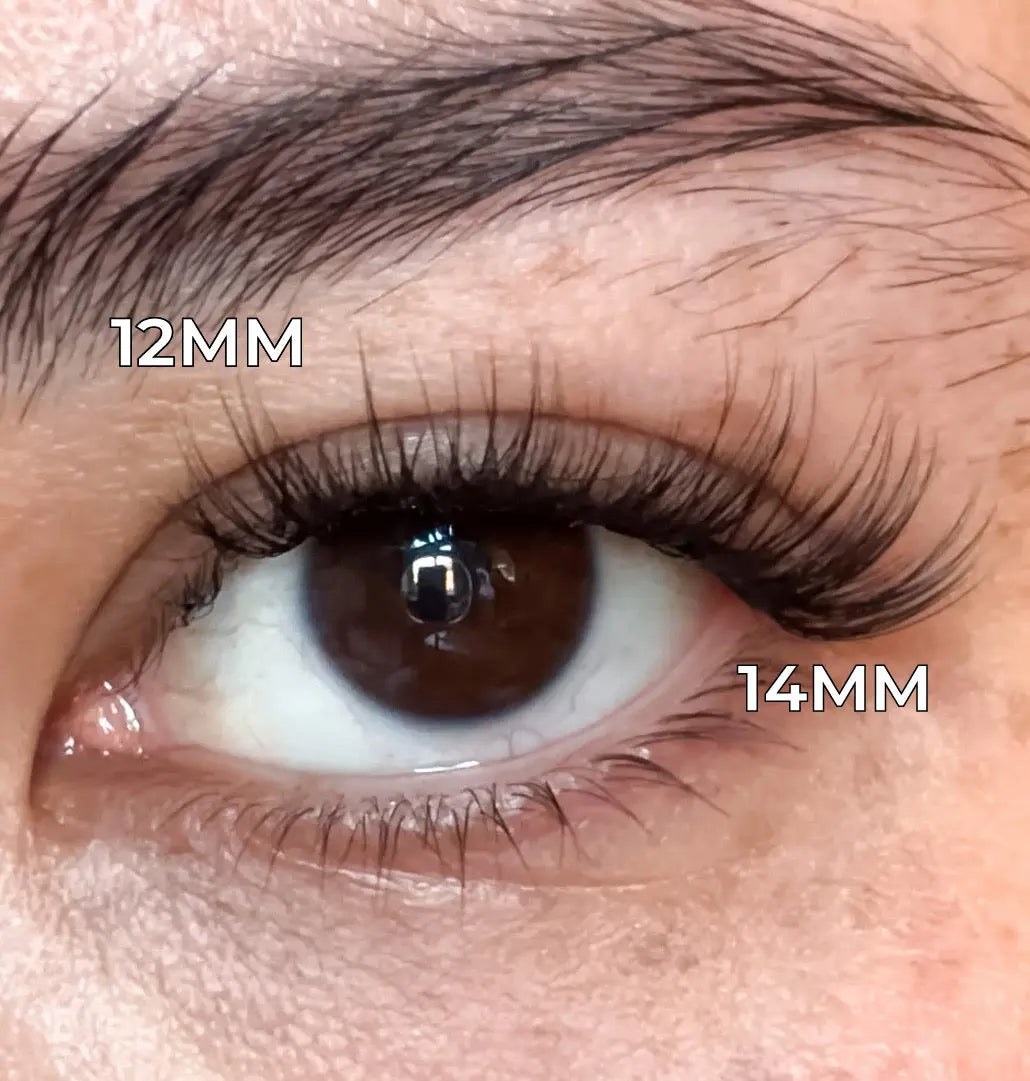 DIY Under Lashes Bundle - Levore Lashes