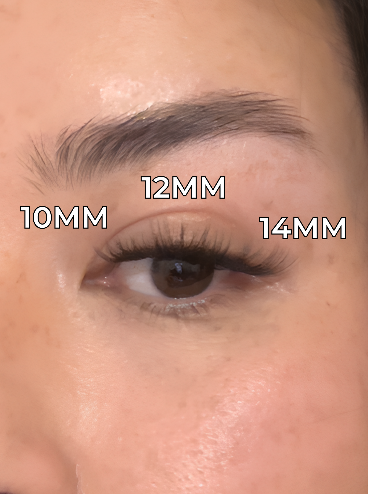 Pre-Glued Cluster Lashes